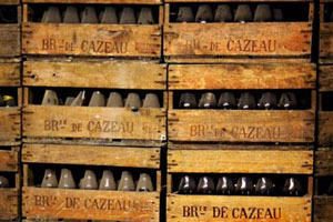 Bottles of beer aging at Brasserie de Cazeau